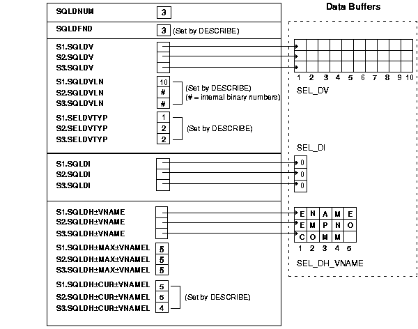 select descriptor after the DESCRIBE