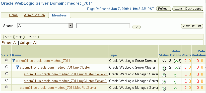 Oracle WebLogic Server Domain