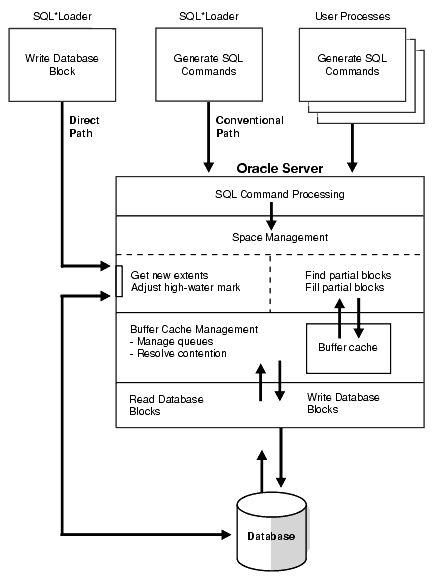 Description of sut81018.gif follows