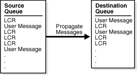 Description of Figure 1-5 follows