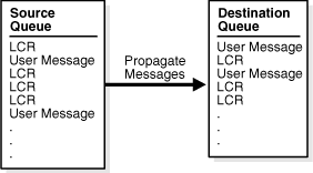 Description of Figure 3-1 follows