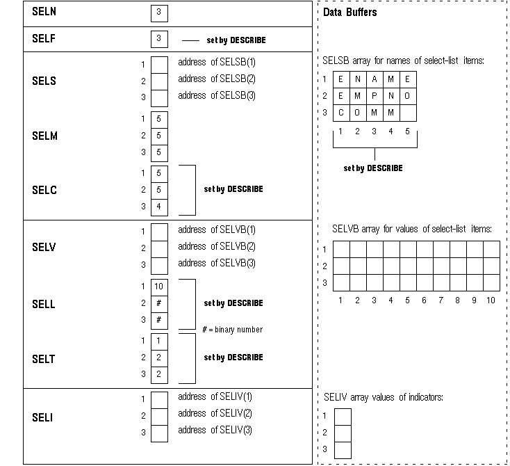 Select Descriptor after the DESCRIBE